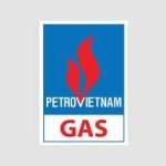 Petro-Gas-logo